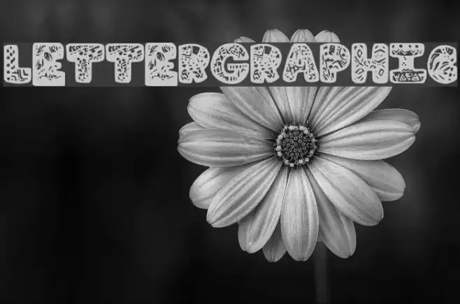 LetterGraphic Example 2