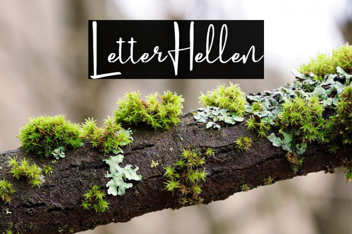 LetterHellen Example 2