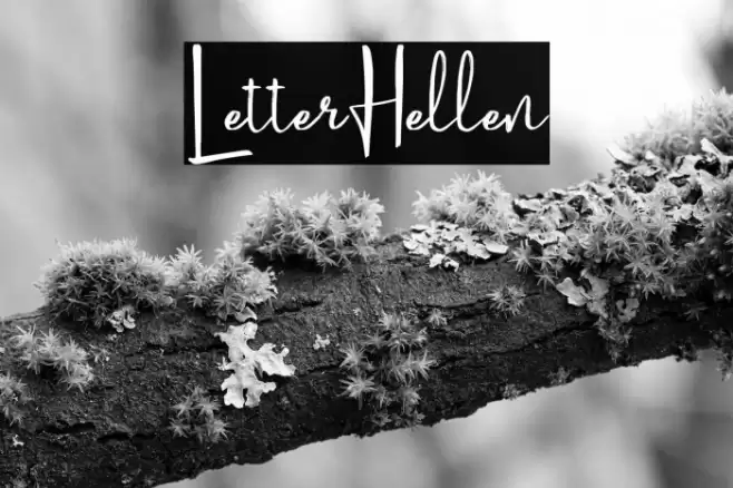 LetterHellen Font examples