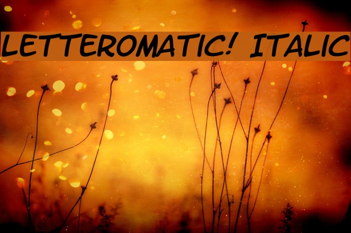LetterOMatic! Italic Font examples