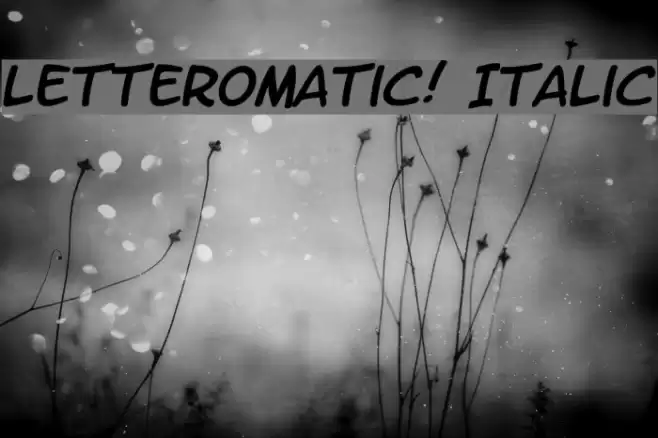 LetterOMatic! Italic Caratteri examples