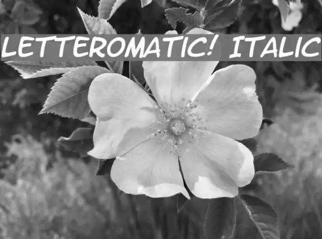 LetterOMatic! Italic Caratteri examples