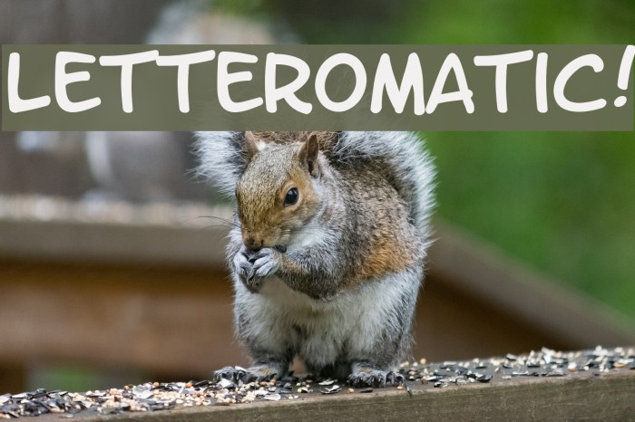 LetterOMatic! Font examples