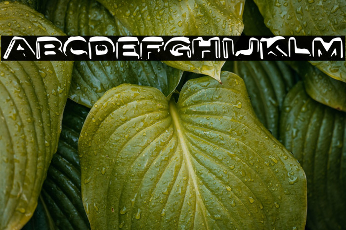 LetterSetA-Regular Example 2