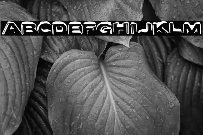 LetterSetA-Regular Font examples