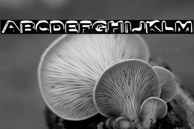 LetterSetA-Regular Font examples