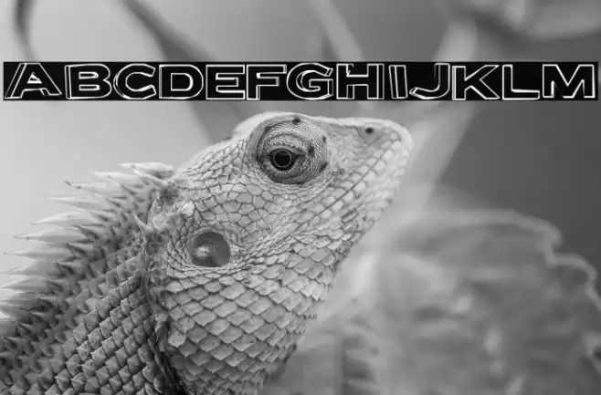 LetterSetB-Regular Font examples