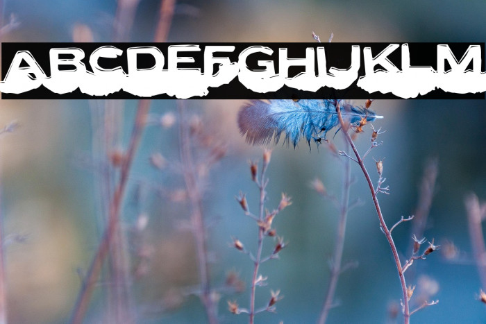 LetterSetC-Regular Example 1