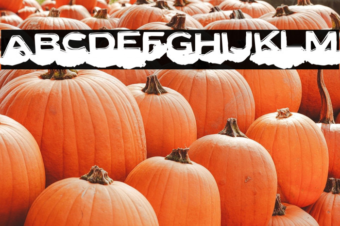 LetterSetC-Regular Example 3