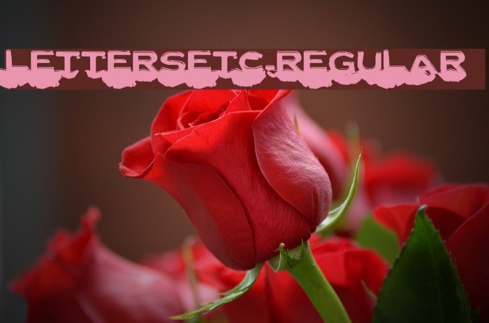 LetterSetC-Regular Font examples