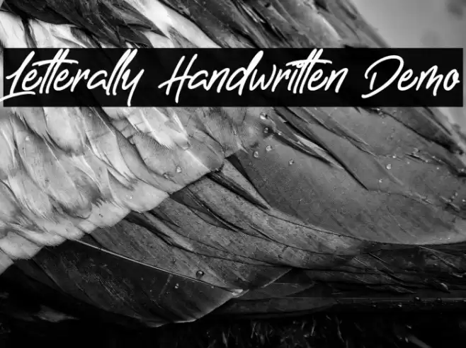 Letterally Handwritten Demo Font examples