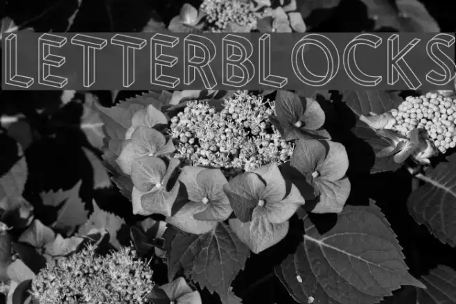 Letterblocks Example 1