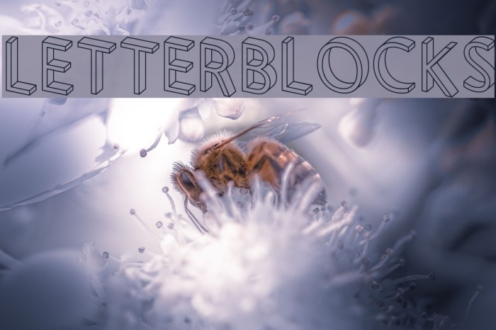 Letterblocks Font examples