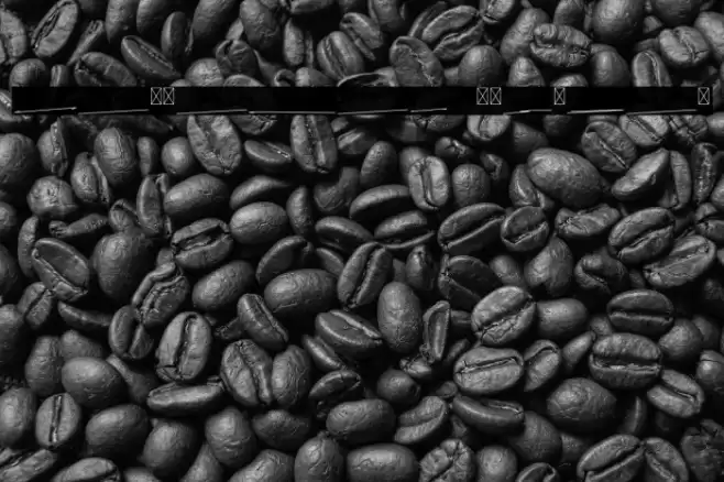 Lettered Swashes Font examples