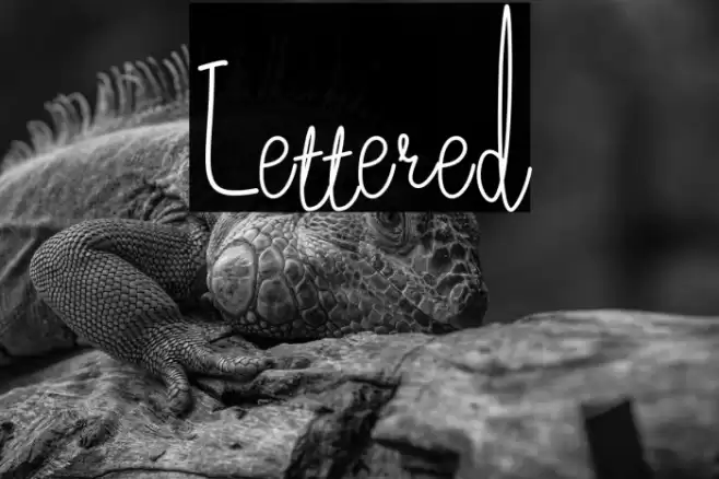 Lettered Font examples