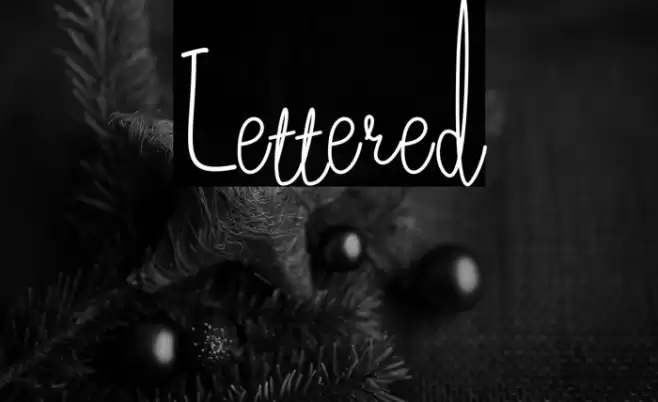 Lettered Font examples