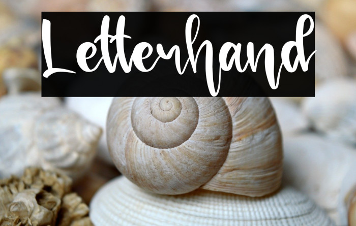 Letterhand Example 3
