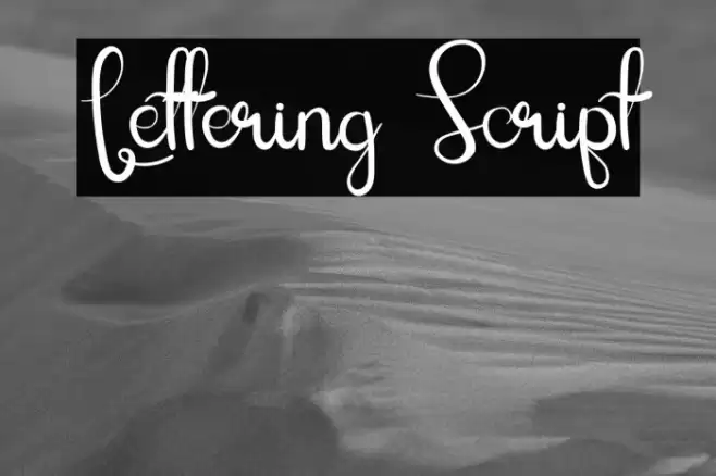 Lettering Script Font examples
