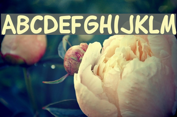 Lettering1 Bold Font examples