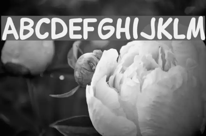Lettering1 Bold Polices examples