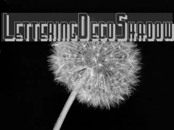 LetteringDecoShadow Font examples