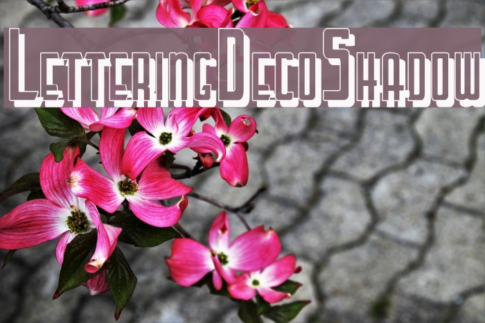 LetteringDecoShadow Font examples