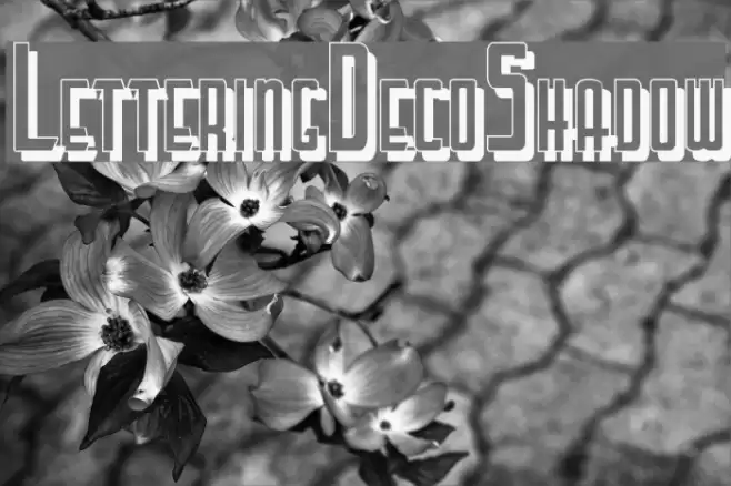 LetteringDecoShadow Font examples