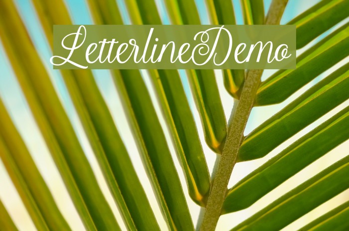 LetterlineDemo Font examples