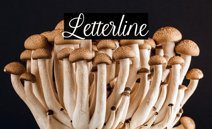 Letterline Example 1