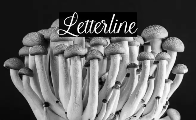 Letterline Example 1