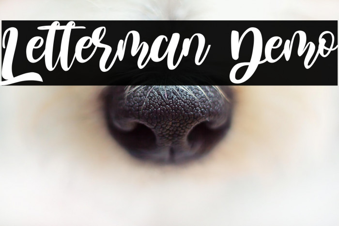 Letterman Demo Example 1
