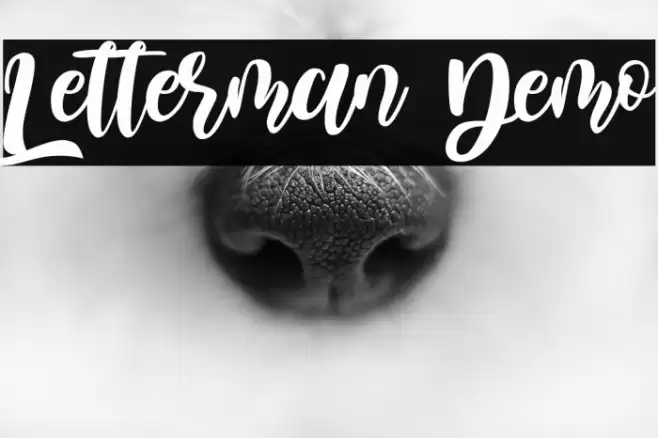 Letterman Demo Fuentes examples
