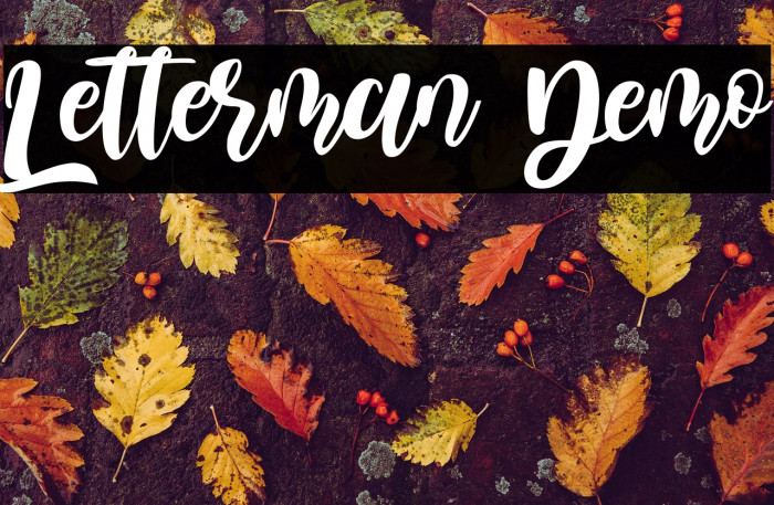 Letterman Demo Example 2