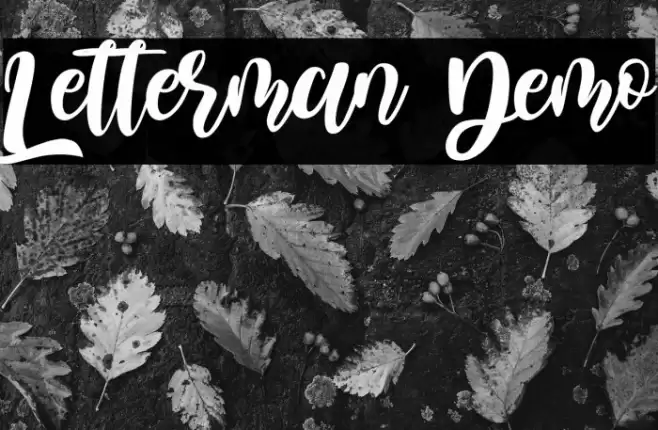 Letterman Demo Fuentes examples