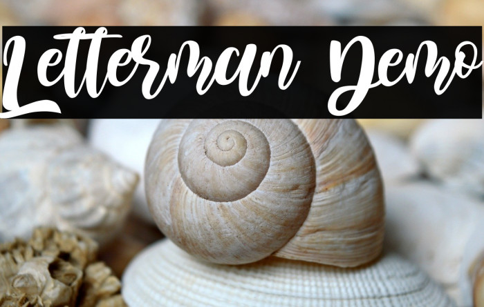 Letterman Demo Example 3