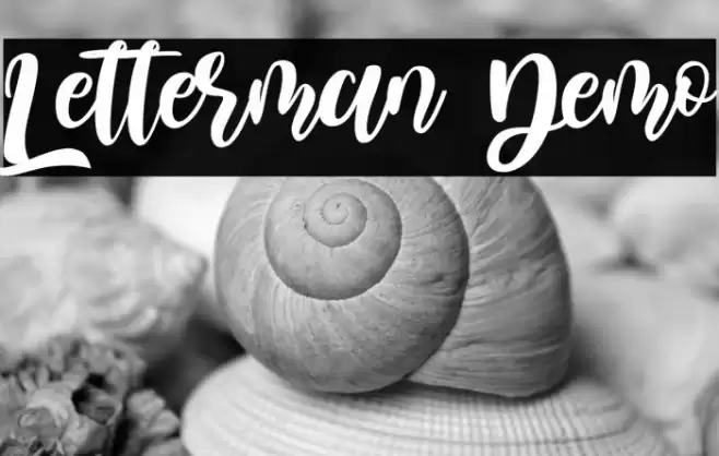 Letterman Demo Fuentes examples