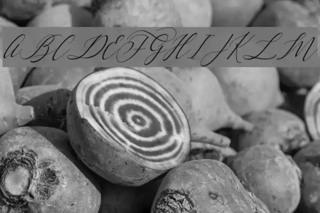 Letternisa Slant Font examples