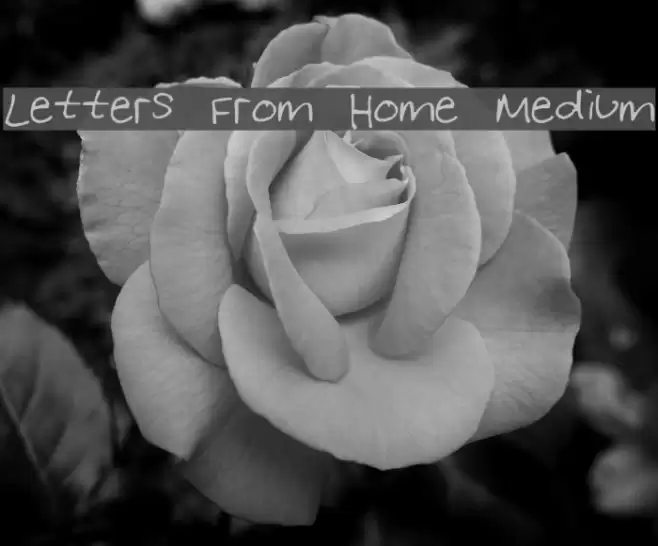Letters From Home Medium Font examples
