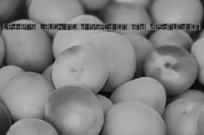 Letters Laughing Dissection and Destruction Polices examples