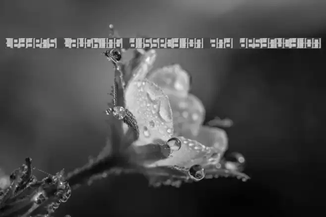 Letters Laughing Dissection and Destruction Polices examples