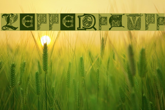 LettersBats Example 1