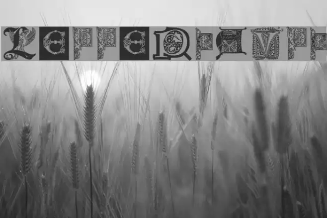 LettersBats Font examples