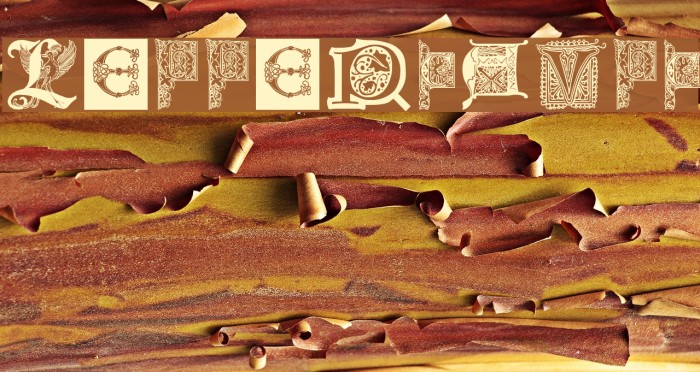 LettersBats Example 3