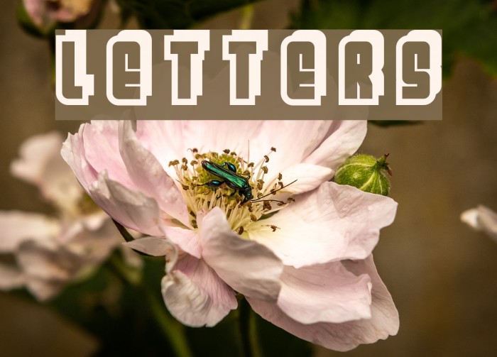 Letters Font examples