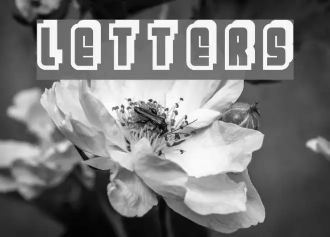 Letters Example 1