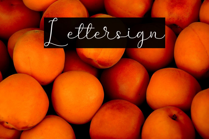 Lettersign Example 3