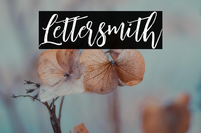 Lettersmith Example 3