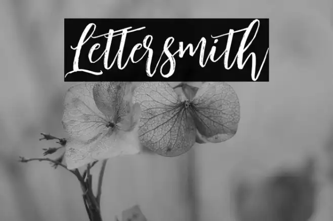 Lettersmith Example 3