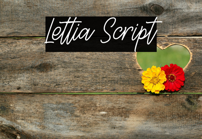 Lettia Script Font examples