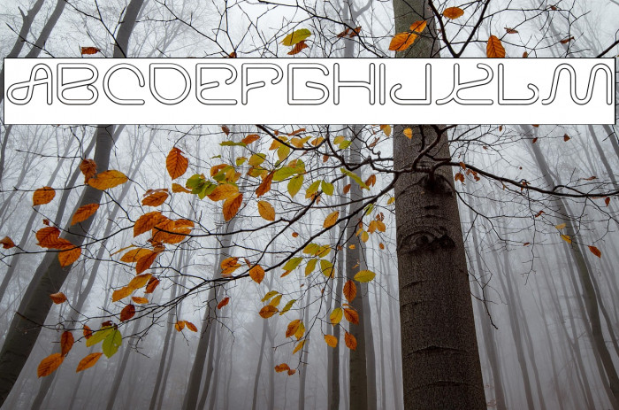 Letting The Cabble Sleep-Hollow Example 1